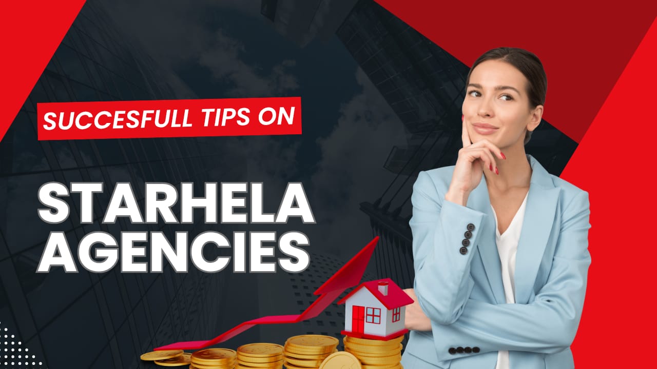StarHela Earnings System – How Income Works on StarHela